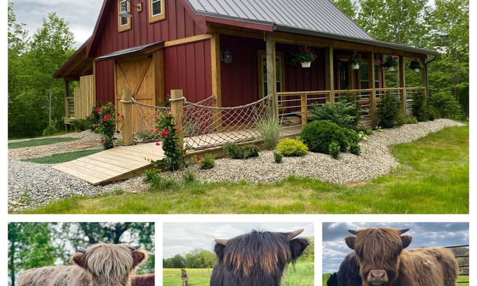 McArthur Cabina | The Stable at Dogwood Ridge Farms: Highland Cow and Mini Donkey Farm