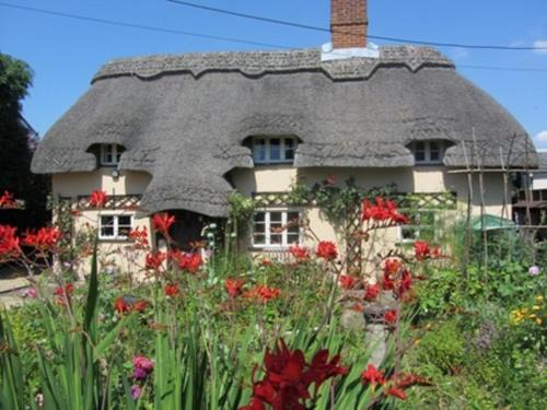 Eastleigh Casa | The Stable