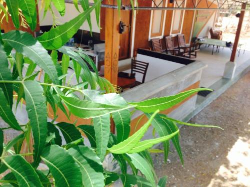 Kataragama Casa | The Summer Corridor - Kataragama
