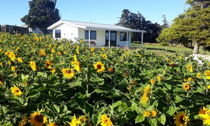 Waitaki District Cabaña | The Sun set Cottage Oamaru