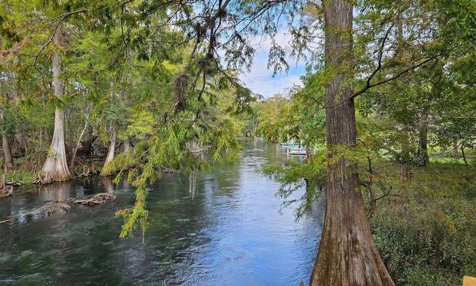 Fort White Cabina | The Tipsy Turtle located on Ichetucknee River!