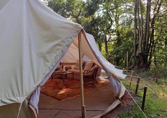 Christchurch Otro | The Toad's Pad