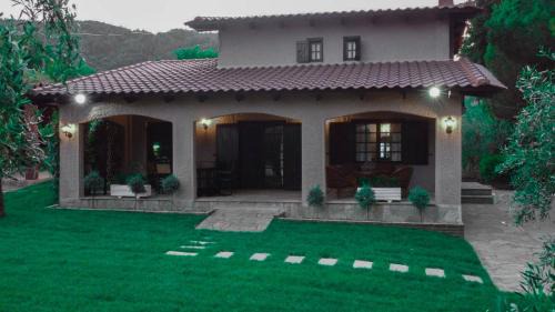 Pangaio Casa | The Tree House