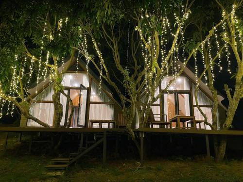 Moc Chau Casa | The Tree House Moc Chau