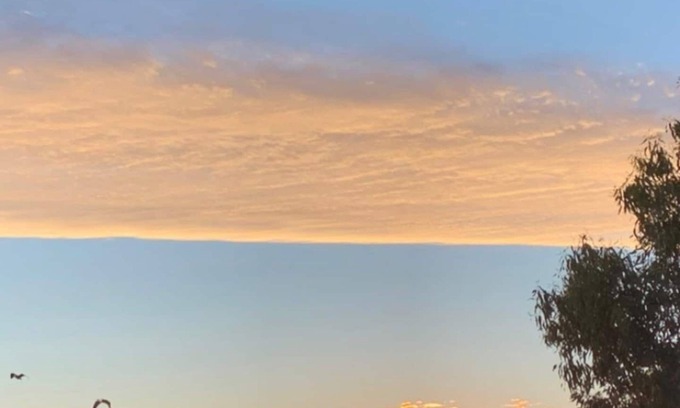 Warrnambool Casa | The Tree House Warrnambool