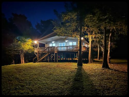 Doyline Casa | The treehouse