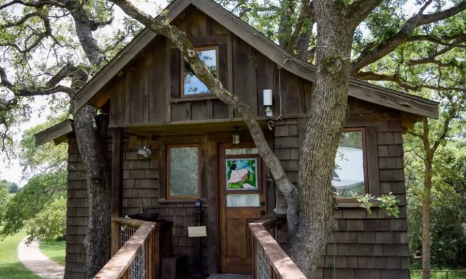 Jeddo Cabina | The Treehouse