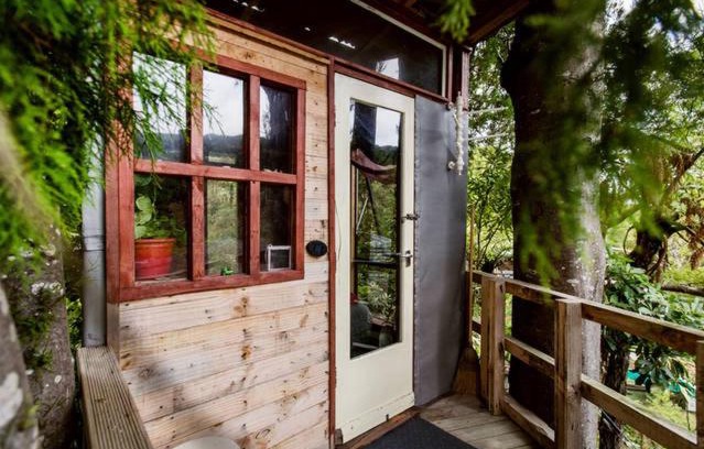 Upper Hutt Otro | The Treehut at the Rabbithole, Upper Hutt