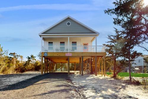Salvo Casa | The Turtle's Nest