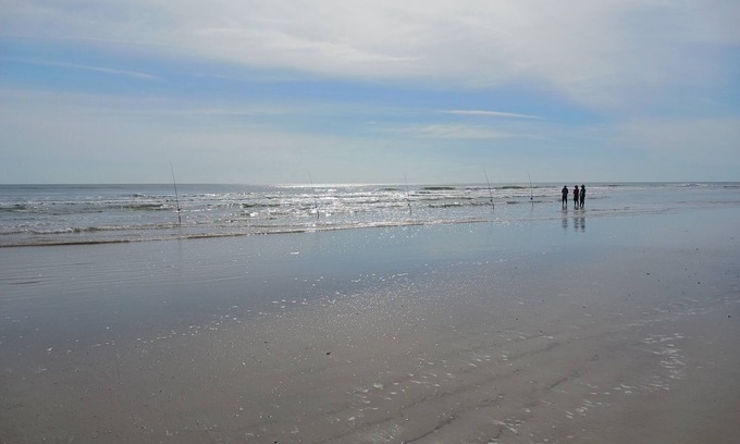 Allandale Casa | The Turtles Nest, Freshly remodeled, All New! 1.5 miles to beach .