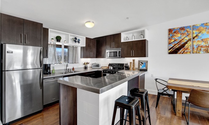 Carbondale Condominio | Loft moderno de Carbondale