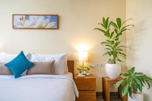 Mas Hotel | The Vinaya Boutique Hotel