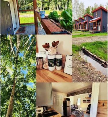 Badger Casa | The Wandering Wolf - Frontier Village