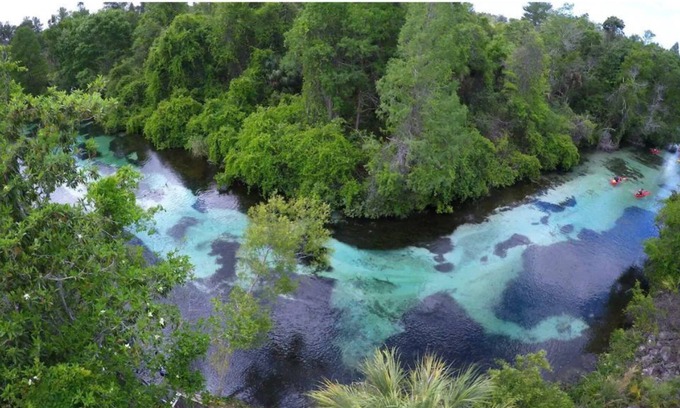 Weeki Wachee Gardens Casa | The Wiki-Tiki / Great Location/ on the Weeki-Wachee/ 3 Kayaks