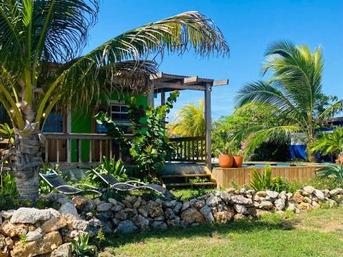 Sero Cadushi Cama Y Desayuno | The WildSide Aruba Caribbean Cabanas