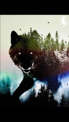 L'Amable Villa | The Wolfs Den