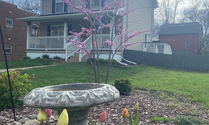 Des Moines Casa | The Woodland Gateway: minutes to everything and family friendly!