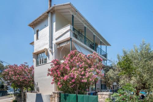 Nikiana Apartamento | Theodoros apartments