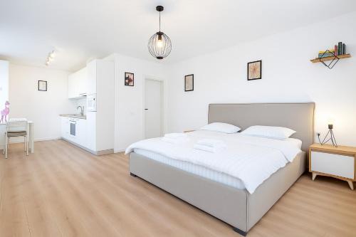 Otopeni Apartamento | Therme Voyage Studio 6