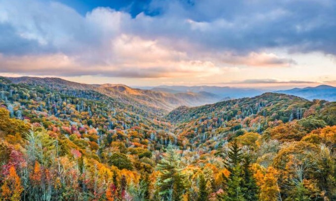 Sevierville Chalet De Esquí | This chalet is a 1 bedroom(s), 1 bathrooms, located in Sevierville , TN.
