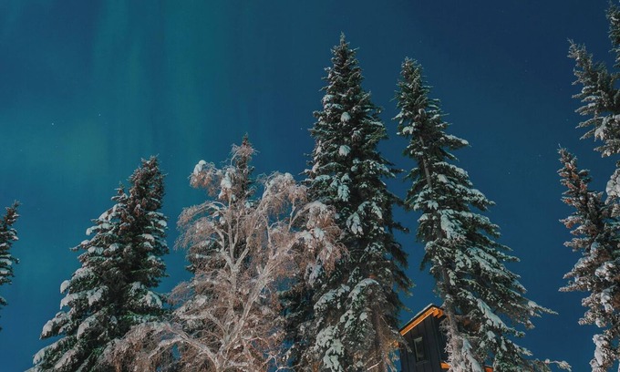 College Casa | This house is a 1 bedroom(s), 1 bathrooms, located in Fairbanks, AK.