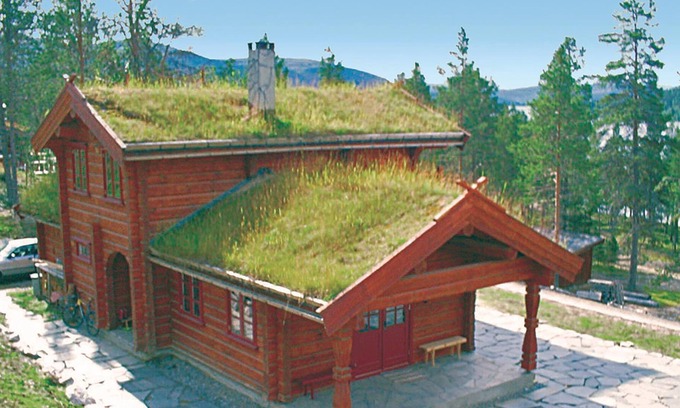Tynset Casa | Alojamiento de 3 habitaciones en Tynset