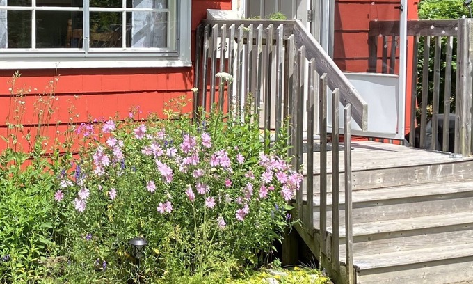 Halifax Cabaña | This peaceful urban cottage is welcoming you!