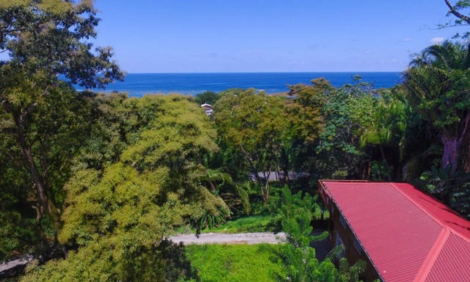 Sandy Bay Apartamento | Jungle Reef Inn, Casa Tropical Treehouse II
