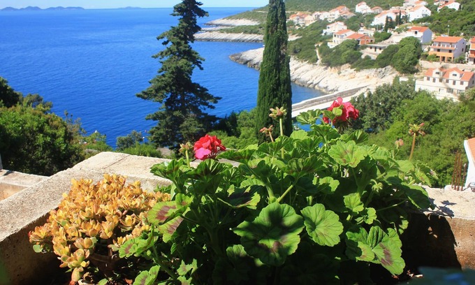 Zavalatica Apartamento | Apartamento de tres habitaciones con terraza y vista al mar Zavalatica, Korcula (A-9690-b)