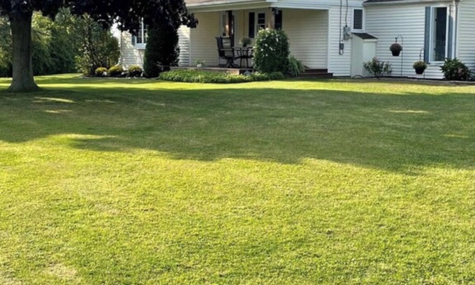 Wilson Cabaña | Three bedroom two bath lake front cottage Wilson NY.