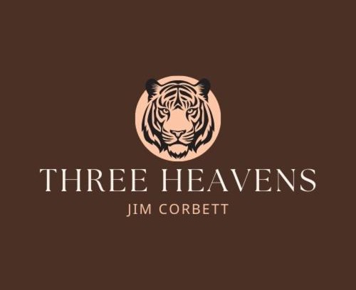 Bail Parao Complejo | Three Heavens Corbett