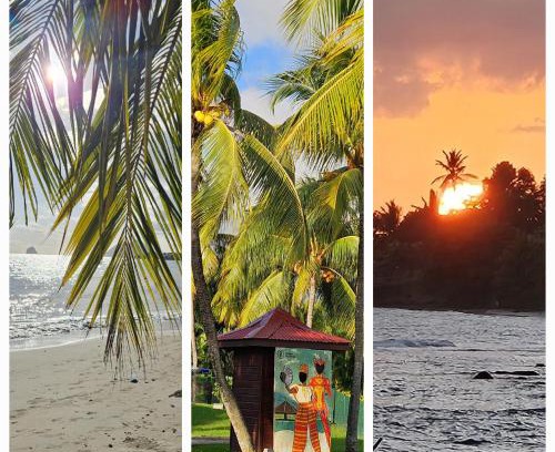 Gros Raisins Apartamento | TI OASIS Dominica - Piscine et Plage à P&Vac Village-Club, 1 chambre 1 salon