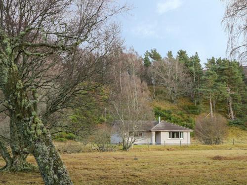 Alvie Casa | Tigh An Tearlach