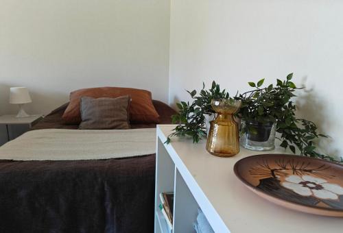Lapinlahti Apartamento | Tilava kaksio Lapinlahti keskusta