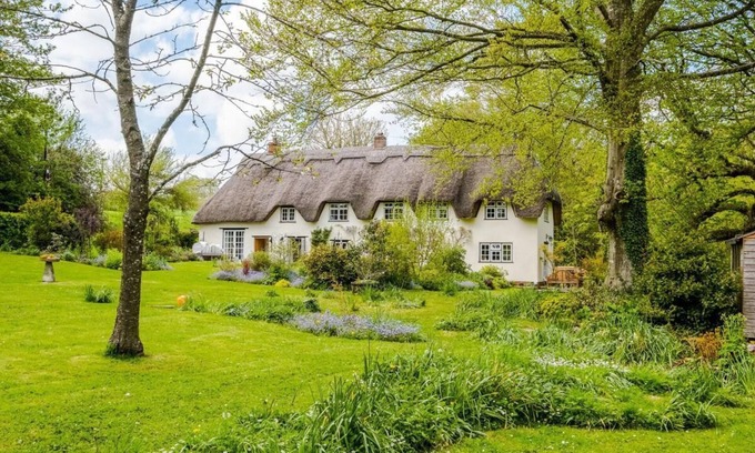Winterbourne Stoke Cabaña | Till Cottage & Riverside Gardens nr Stonehenge