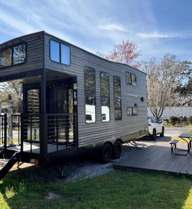 Florida Panhandle Otro | Timberwolf in the Park