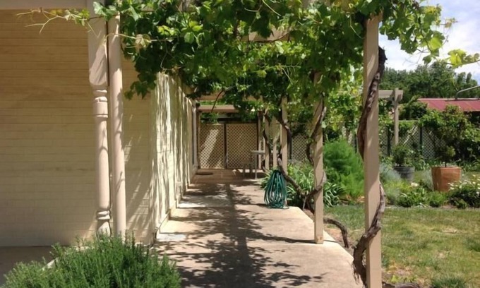 Tanunda Cabaña | Tin House at Tanunda