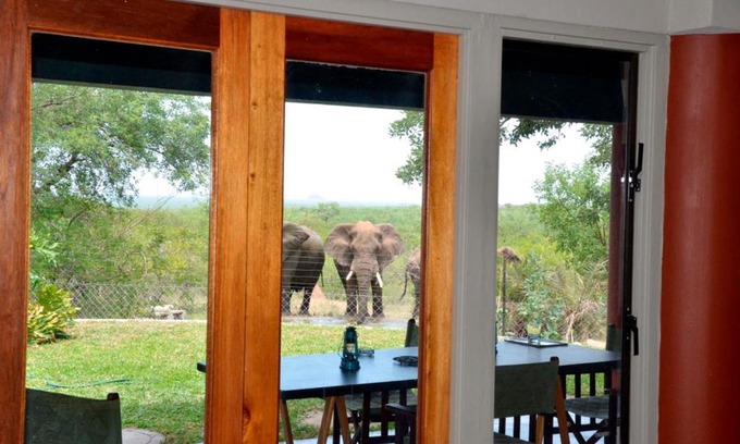 Phalaborwa Cabina | Tingala Lodge - Bed in the Bush