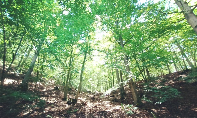 Hasenfeld Apartamento | Tiny apartment in a quiet location near the North Eifel National Park