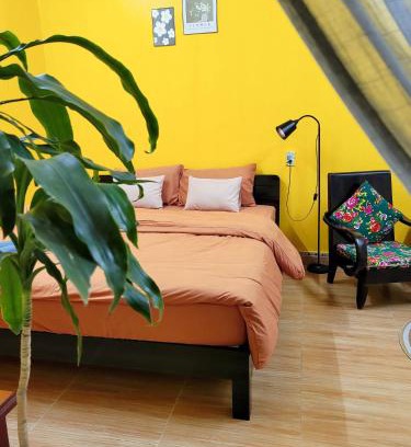 Cat Hai Casa | Tiny Garden House Cat Ba