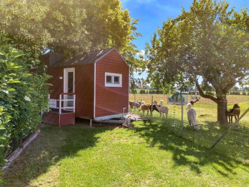 Rubkow Casa | Tiny House auf der Alpaka Farm