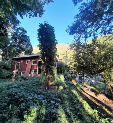 Floresta Casa | Tiny house florestinha