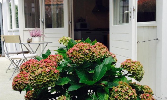 Zandvoort Casa | Tiny House Madame Jeanette