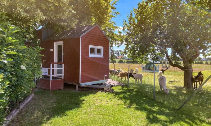 Rubkow Otro | Tiny house on the alpaca farm - Tiny House