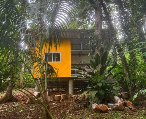 Cocles Casa | Tiny jungle house, few minutes from the beach