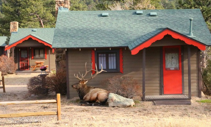 Estes Park Cabina | Tiny Town Cabins