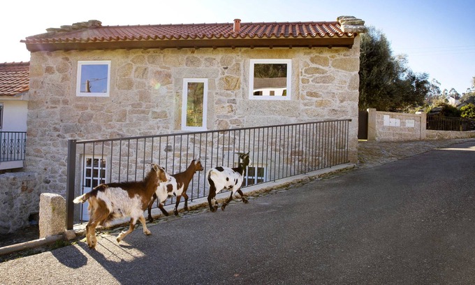 Arcos de Valdevez Casa | Tio Zé - Casas de Selim