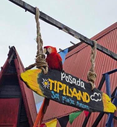 Bocachica Casa | Tipiland baru la casa del mono