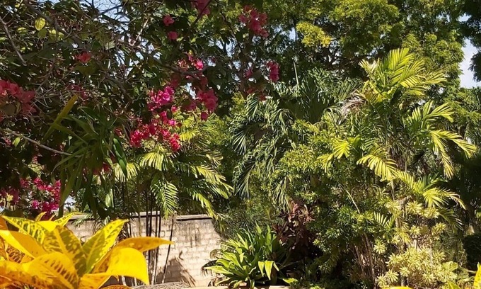 Tiwi Cabaña | Tiwani Sunset Cottage - a little piece of Eden in Tiwi, Kenya
