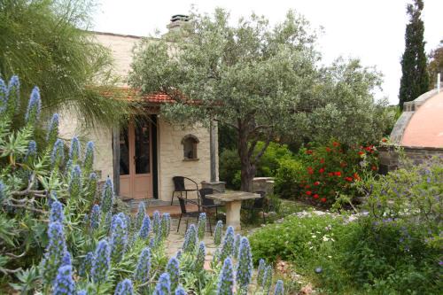 Paros Casa | To The Garden